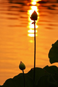 激烈角逐下足球联赛赛况引人注目，球队实力均衡