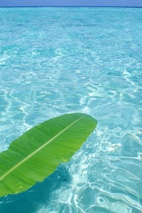 争议裁判引热议，尤文图斯憾失欧冠