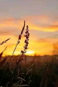 重庆胜广州富力，势如破竹士气高涨